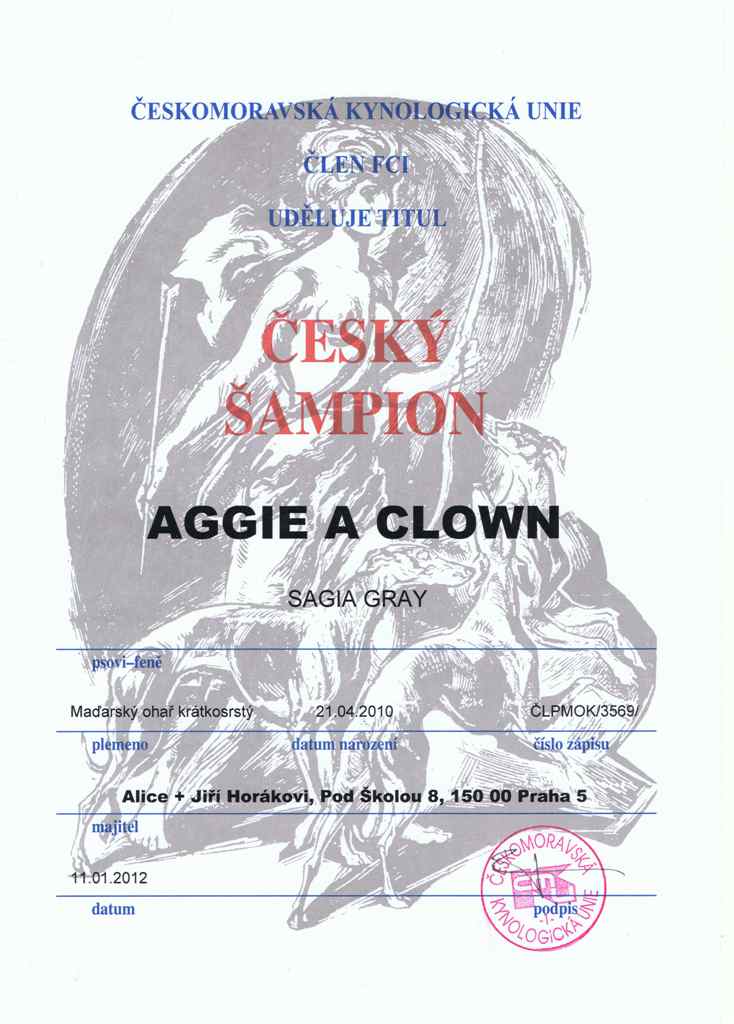 Aggie a Clown Sagia Gray - Český šampion